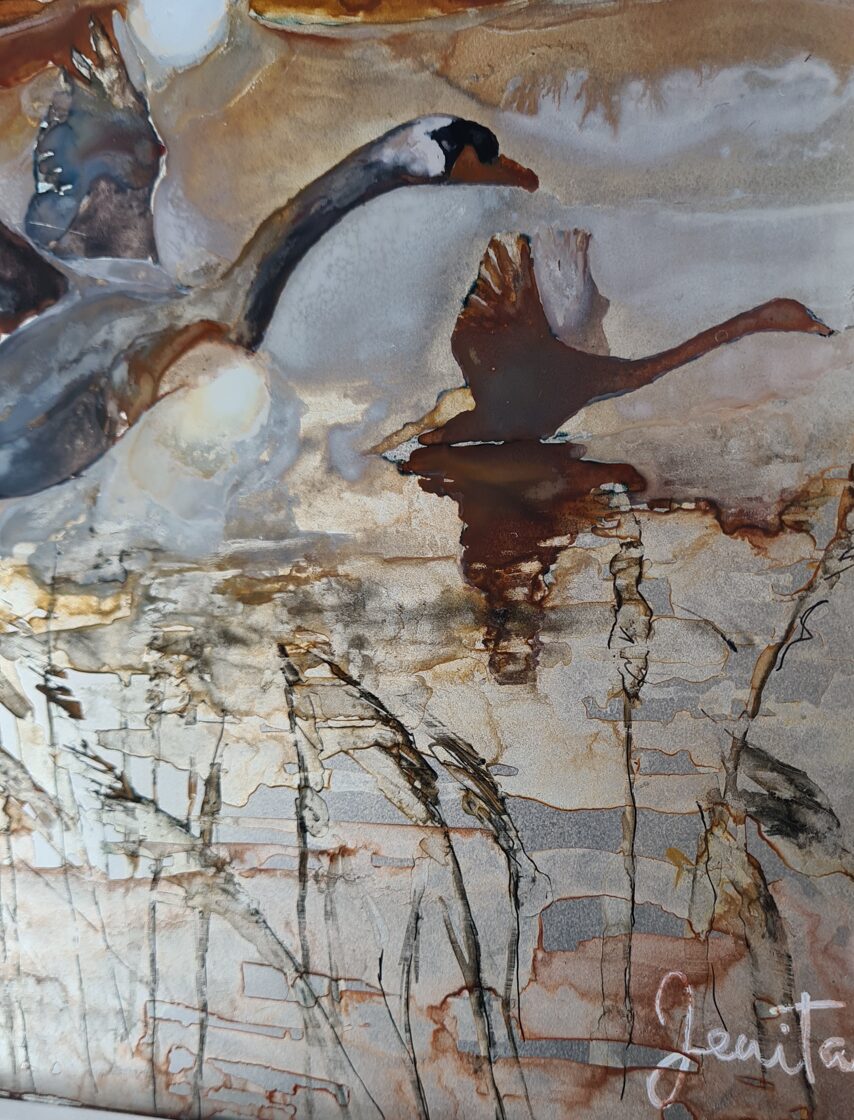 In_vogelvlucht_close_up_1.jpg